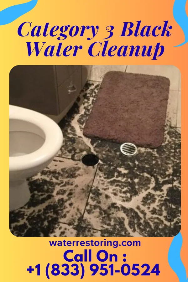Category 3 Black Water Cleanup in Roosevelt, NJ