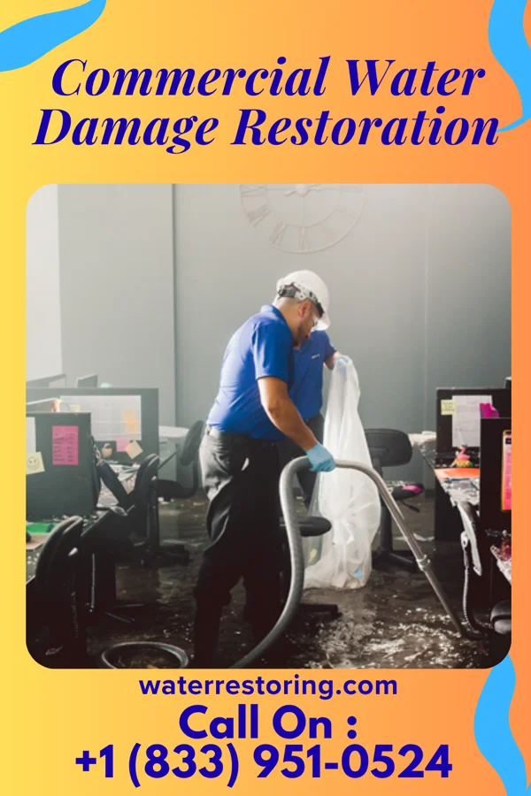 Commercial Water Damage Restoration in Roosevelt, NJ
