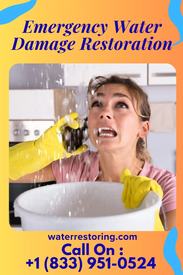 Emergency Water Damage Restoration in Roosevelt, NJ