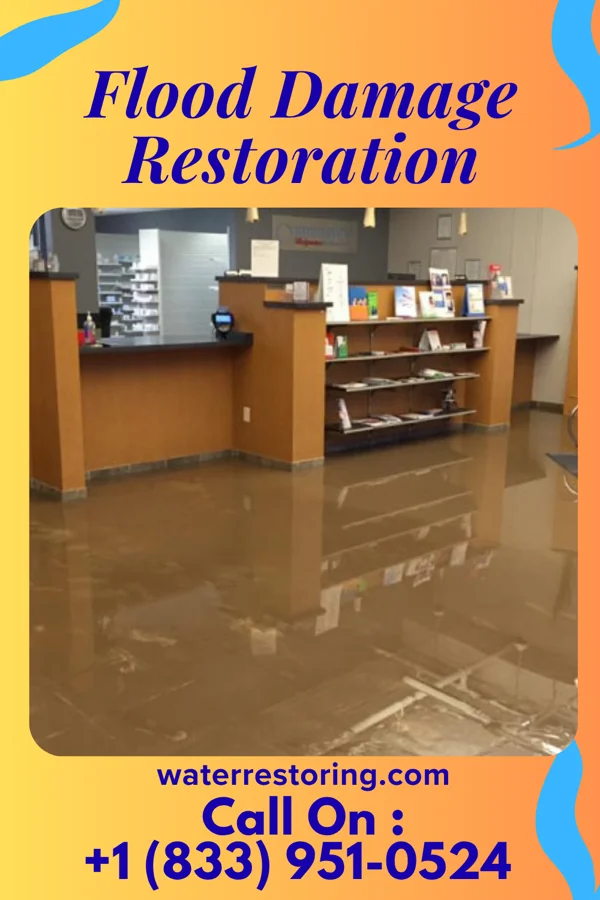 Flood Damage Restoration in Roosevelt, NJ