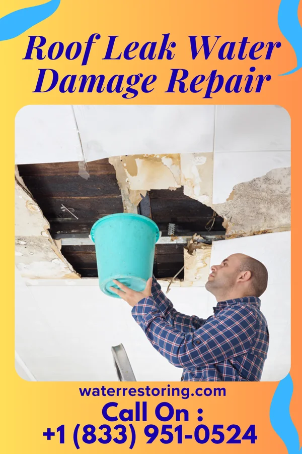 Roof Leak Water Damage Repair in Roosevelt, NJ