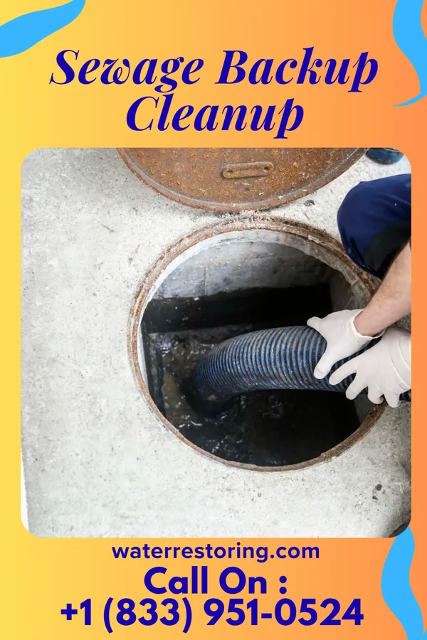 Sewage Backup Cleanup in Roosevelt, NJ