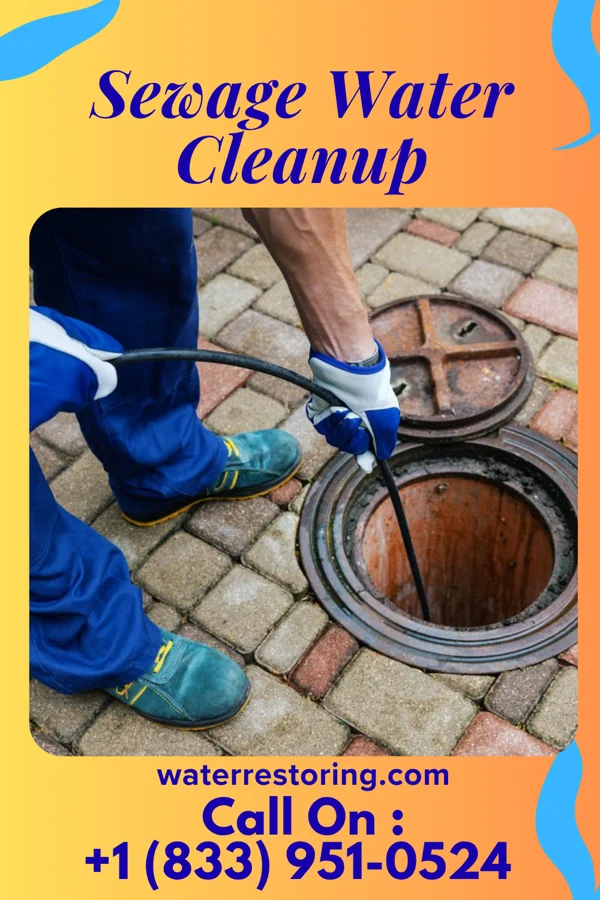 Sewage Water Cleanup in Roosevelt, NJ